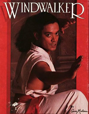Windwalker DOS front cover
